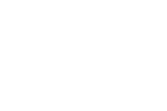 B&B International Festival